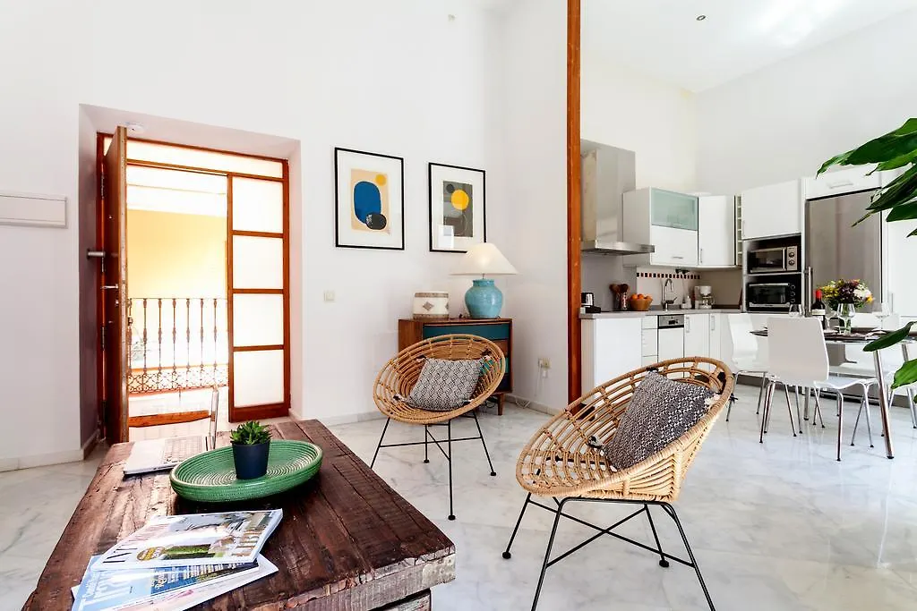 Luxury Rooftop - Space Maison Apartments Seville
