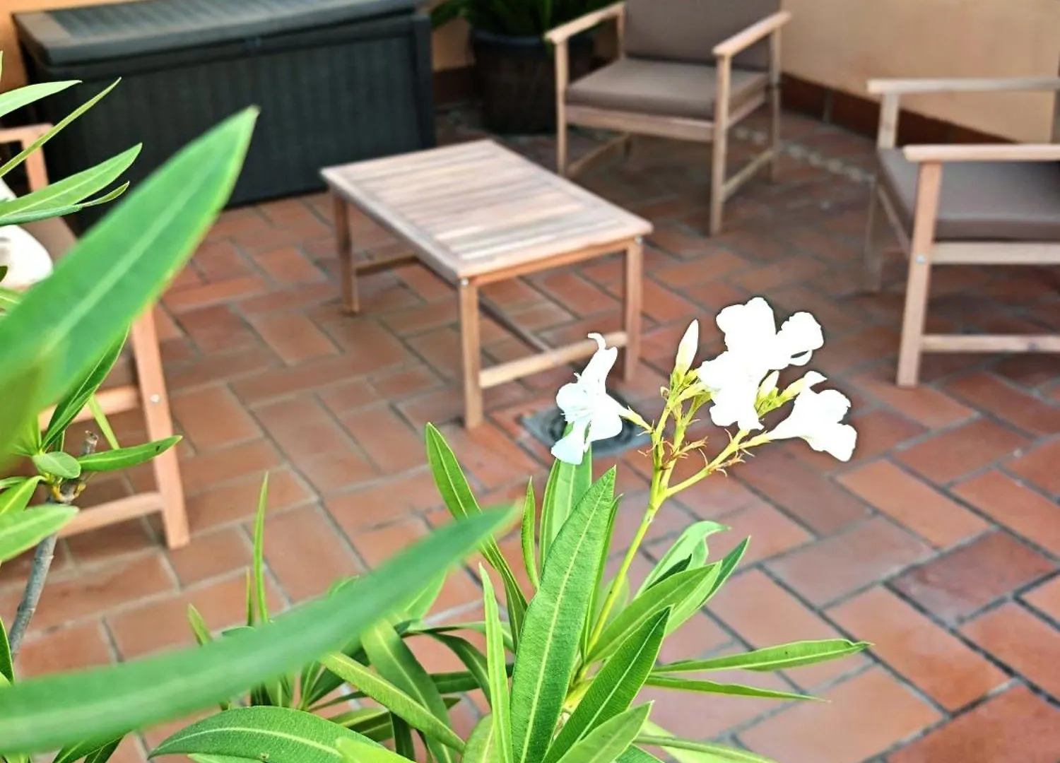 Luxury Rooftop - Space Maison Apartments Seville