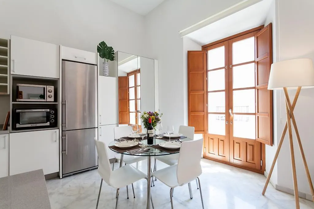 Luxury Rooftop - Space Maison Apartments Seville Spain