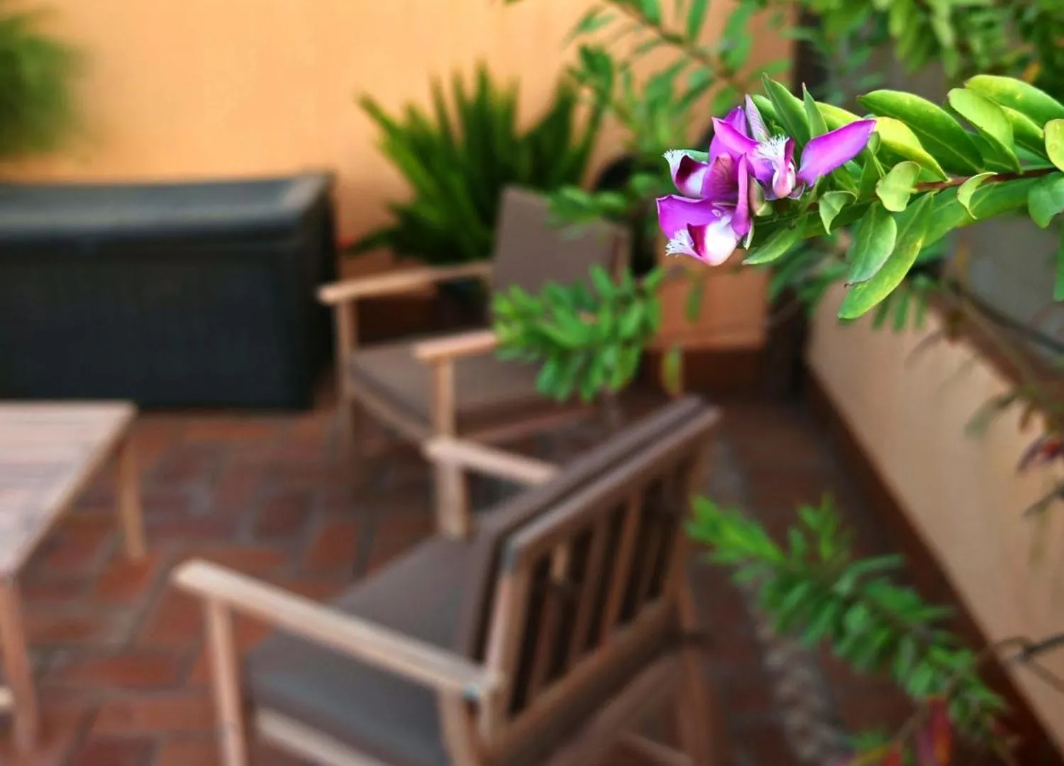 Luxury Rooftop - Space Maison Apartments إشبيلية